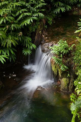 030 Big Island, Hilo, Akaka Falls SP.jpg